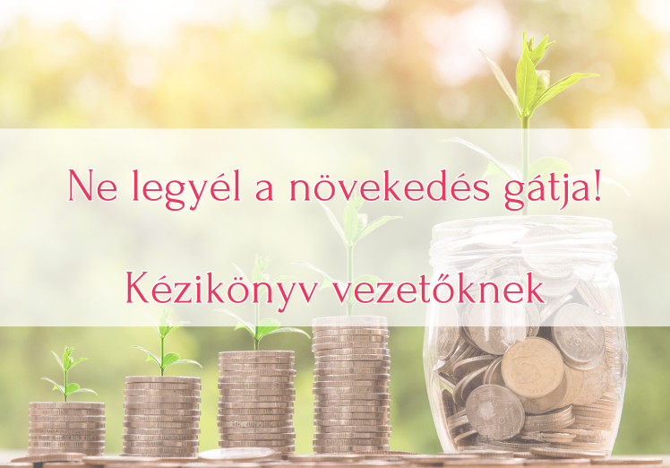 blog bevezető-posta nikolett-üzleti-folyamatfjelesztés (2)