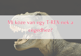 blog bevezető-posta nikolett-üzleti-folyamatfjelesztés (3)